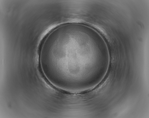 X0000112871414200908281615