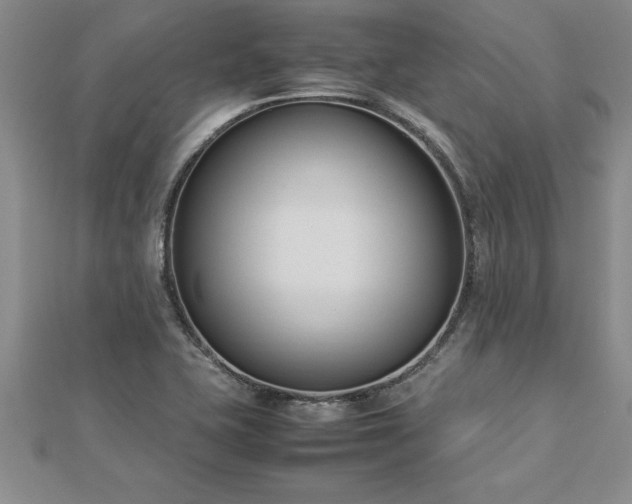 X0000112871415200908281615