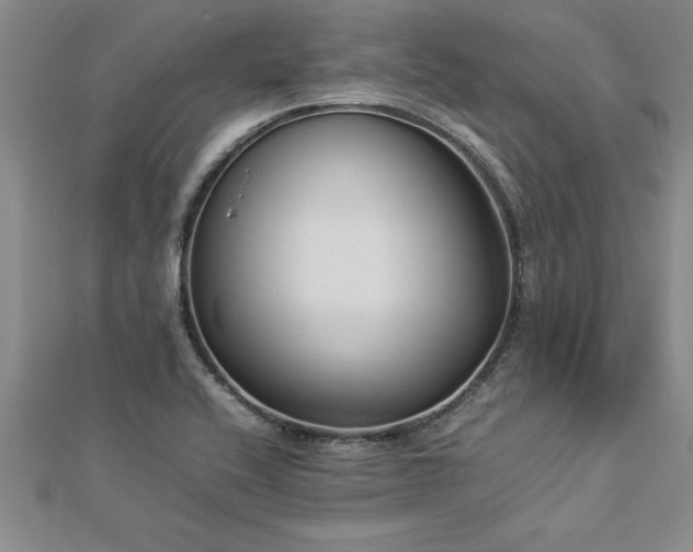 X0000112871416200908281615