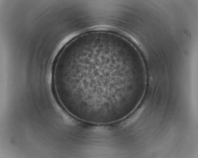 X0000112871418200908281615