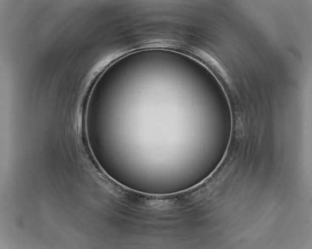 X0000112871419200908281615