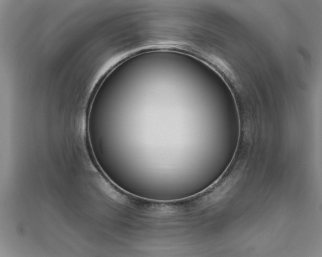 X0000112871420200908281615