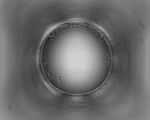 X0000112871421200908281615