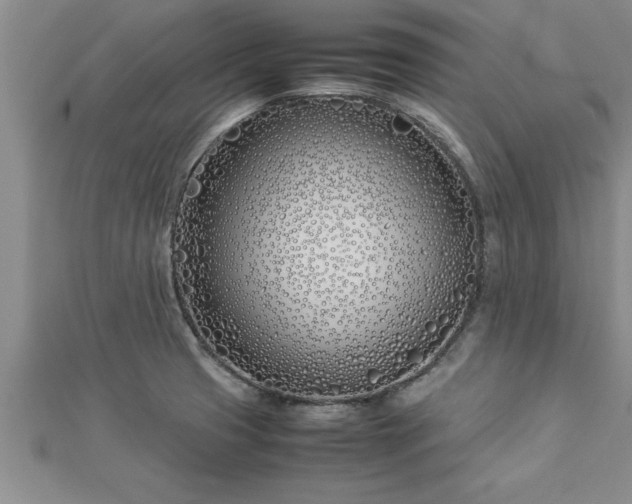 X0000112871425200908281615