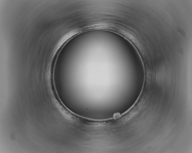 X0000112871426200908281615