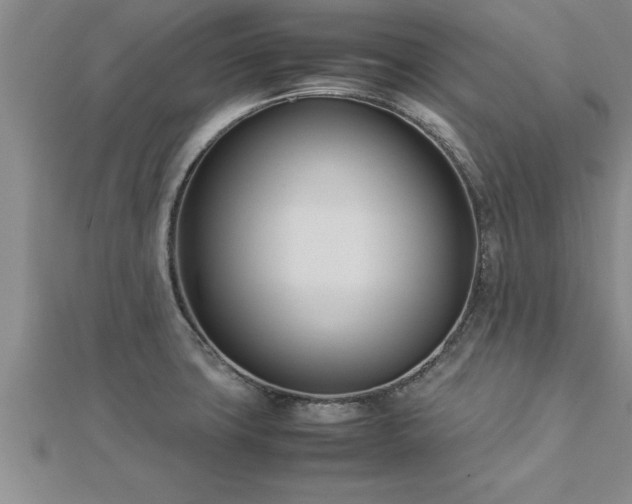 X0000112871427200908281615