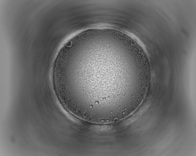 X0000112871429200908281615