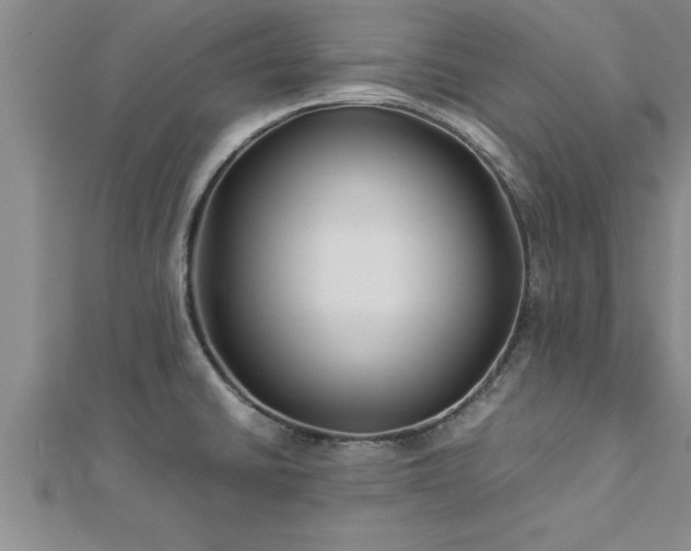 X0000112871430200908281615