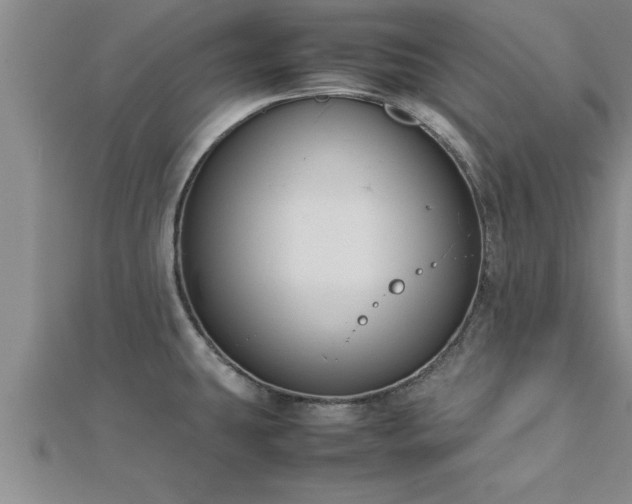 X0000112871431200908281615