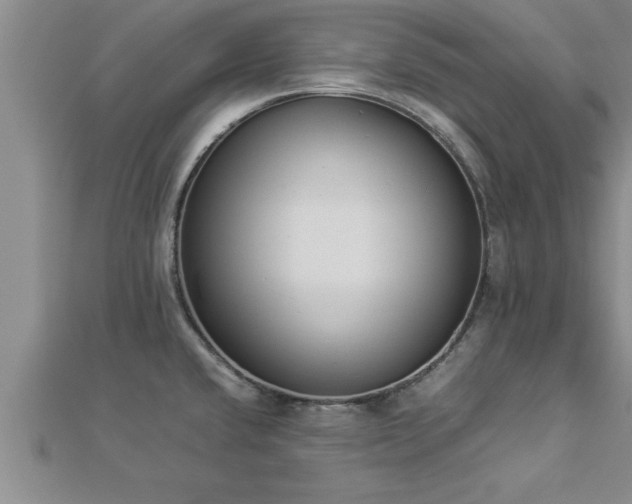 X0000112871432200908281615