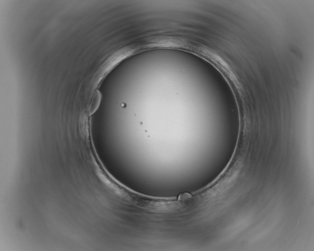 X0000112871433200908281615