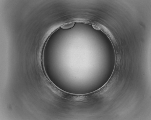 X0000112871435200908281615