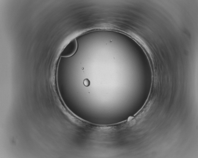 X0000112871437200908281615