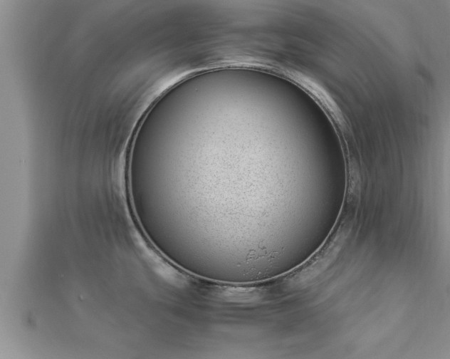 X0000112871439200908281616