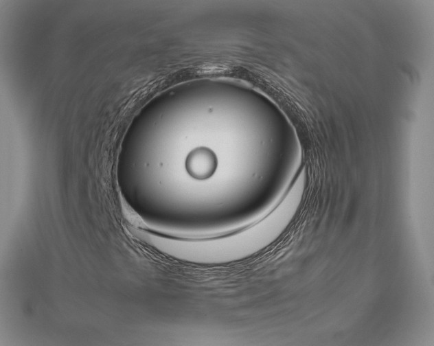 X0000112871441200908281615