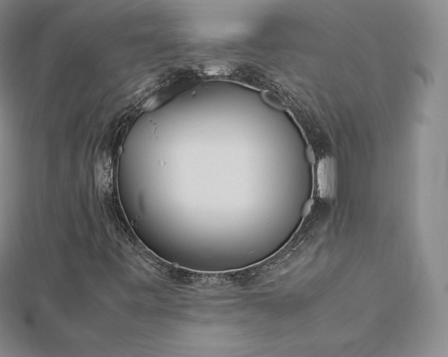 X0000112871443200908281615