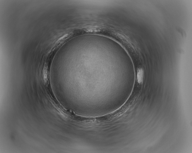 X0000112871444200908281615