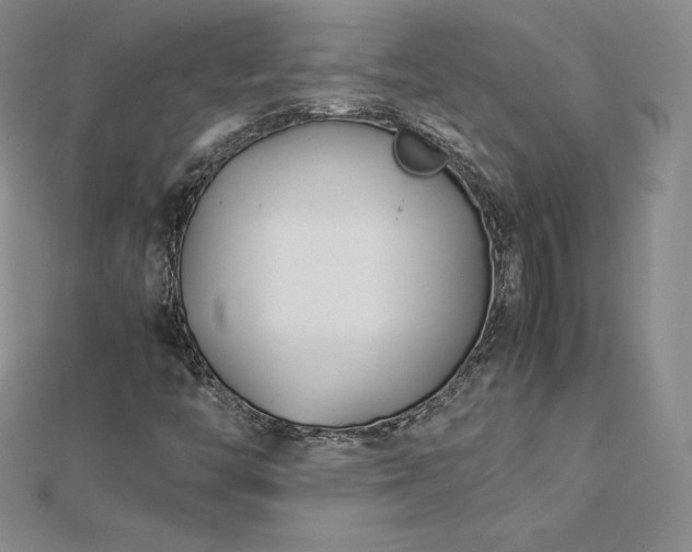 X0000112871446200908281615