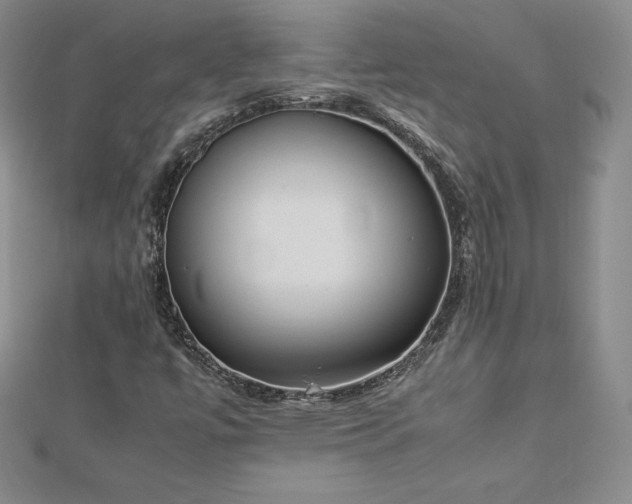 X0000112871447200908281615