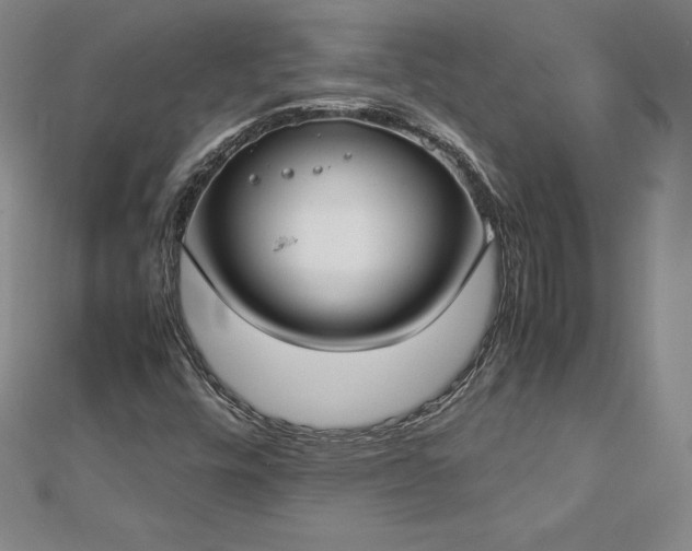 X0000112871448200908281615