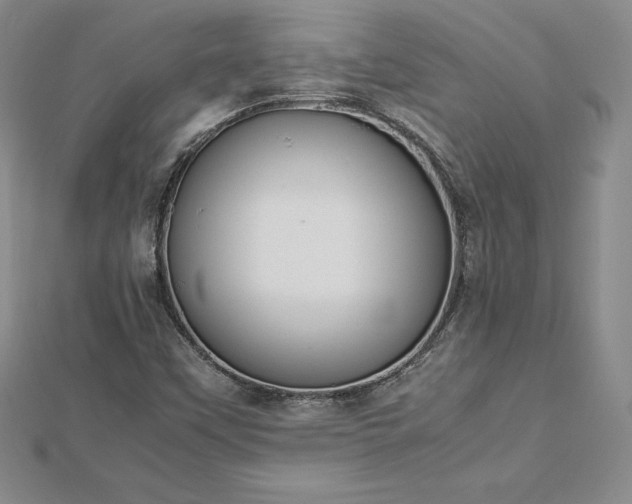 X0000112871451200908281615