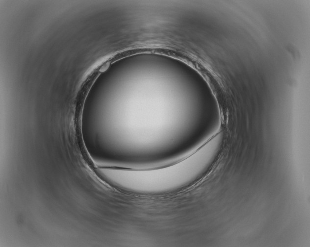 X0000112871452200908281615