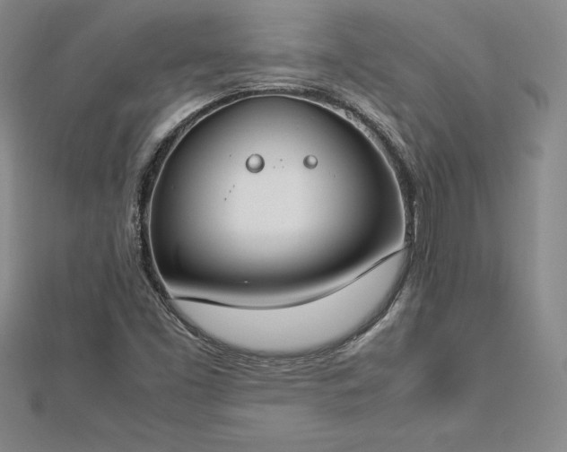 X0000112871453200908281615