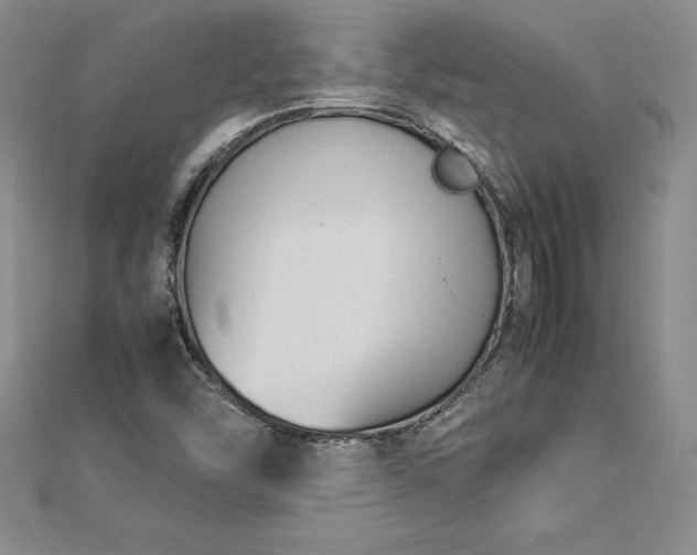 X0000112871454200908281615