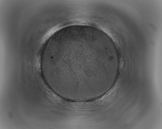 X0000112871455200908281615