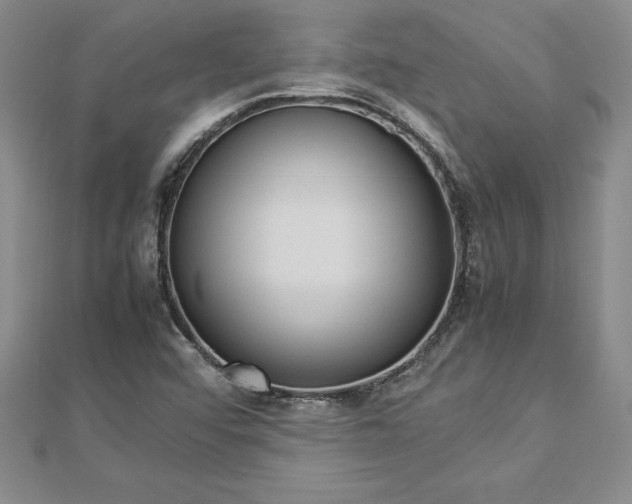 X0000112871456200908281615