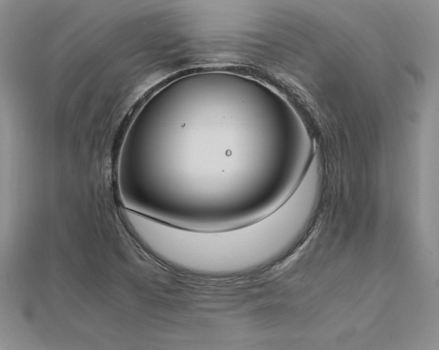 X0000112871457200908281615