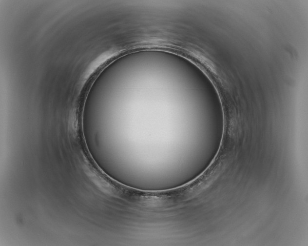 X0000112871458200908281615