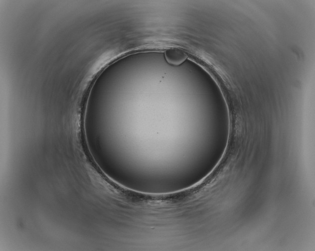 X0000112871459200908281615