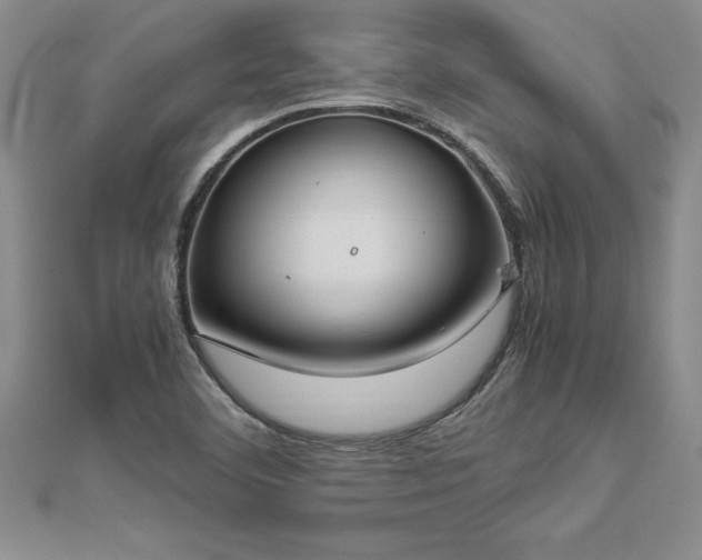 X0000112871460200908281615