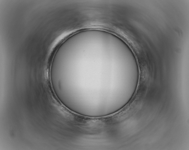 X0000112871462200908281615