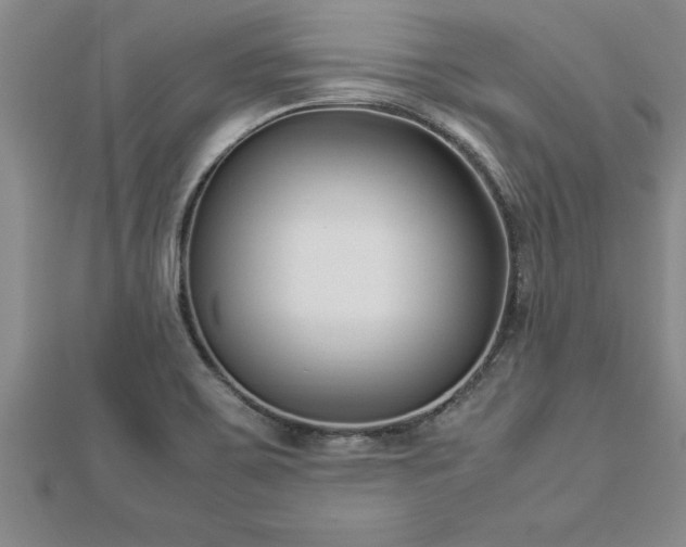 X0000112871467200908281615