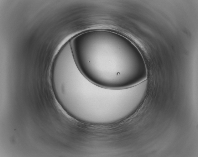 X0000112871468200908281615