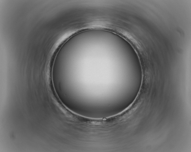 X0000112871469200908281615