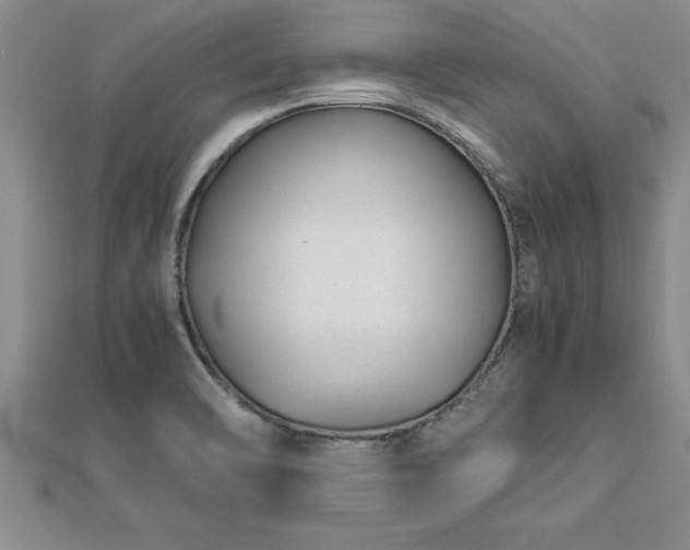 X0000112871470200908281615