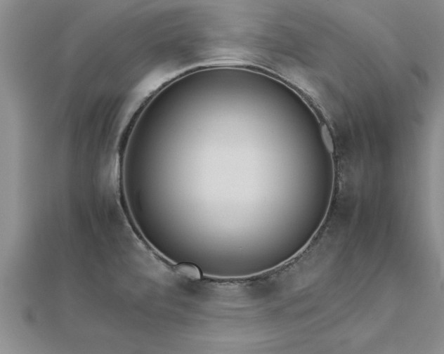 X0000112871472200908281615