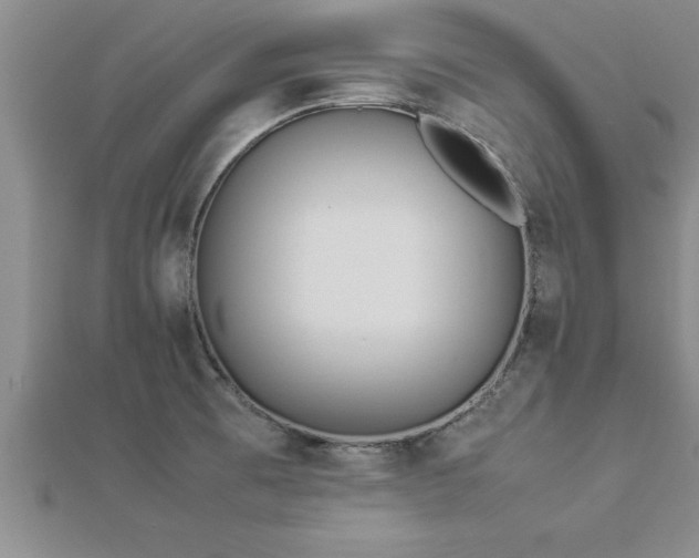 X0000112871473200908281614