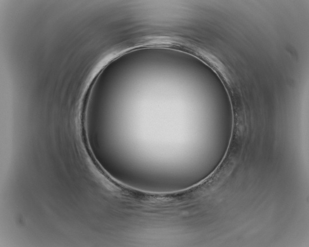 X0000112871475200908281614