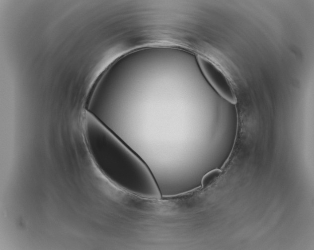 X0000112871476200908281614