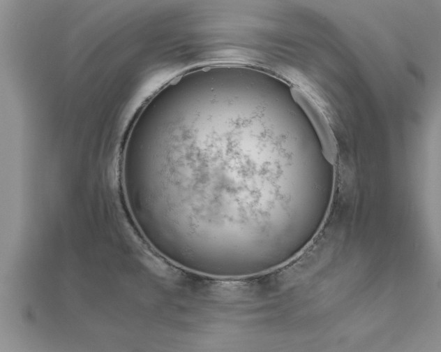 X0000112871477200908281614