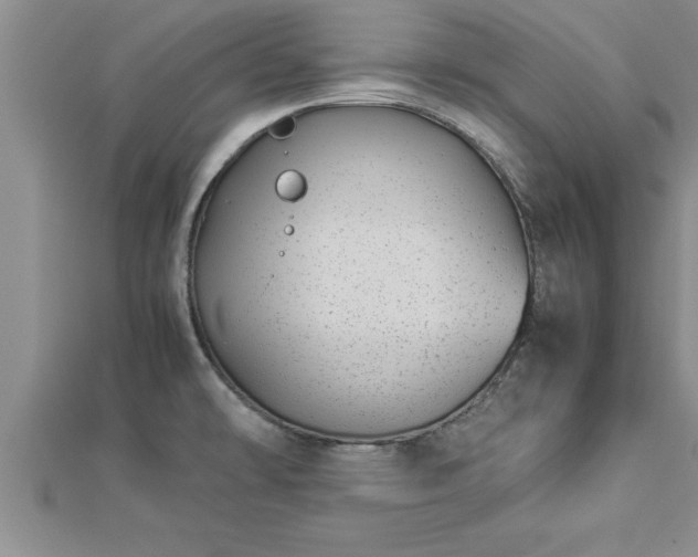 X0000112871478200908281614