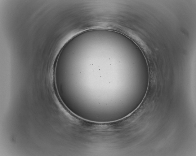 X0000112871479200908281614