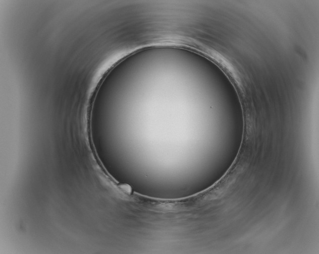 X0000112871480200908281614