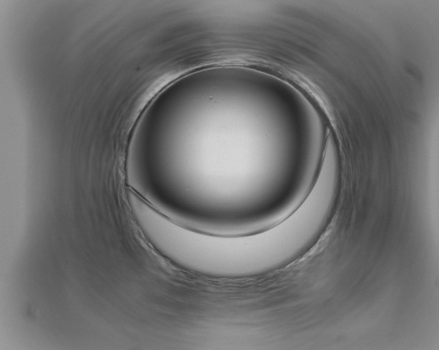 X0000112871481200908281614