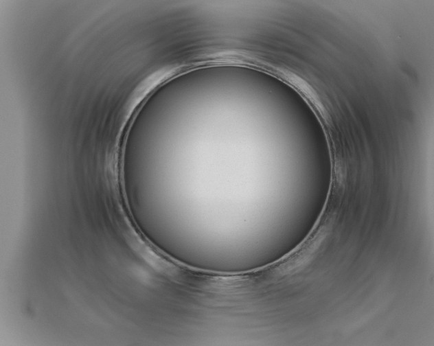 X0000112871482200908281614