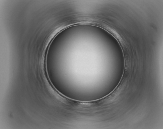 X0000112871483200908281614